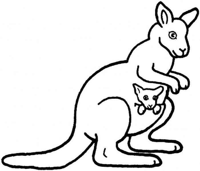 Kangaroo coloring page plex baby coloring pages animal coloring pages coloring pages