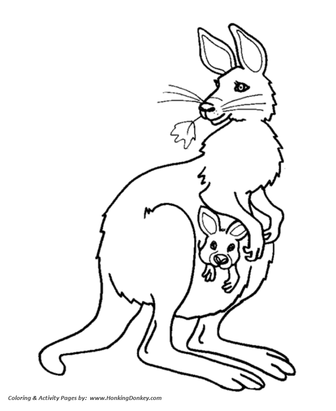 Female kangaroo and baby coloring pages kangaroo coloring page and kids activity sheet