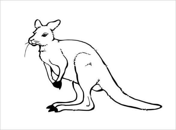 Kangaroo s crafts colouring pages