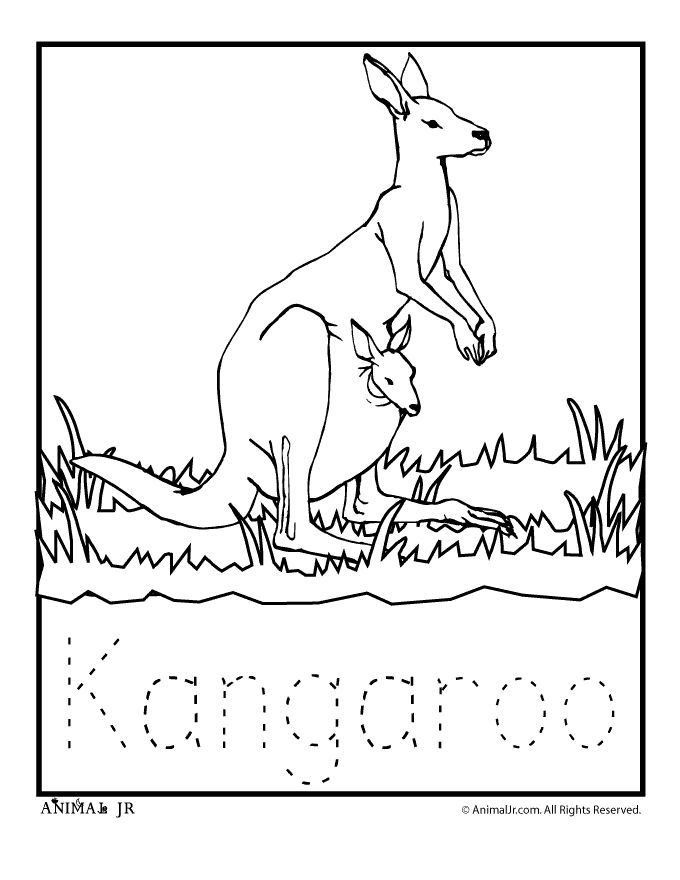 Adorable zoo animal coloring pages