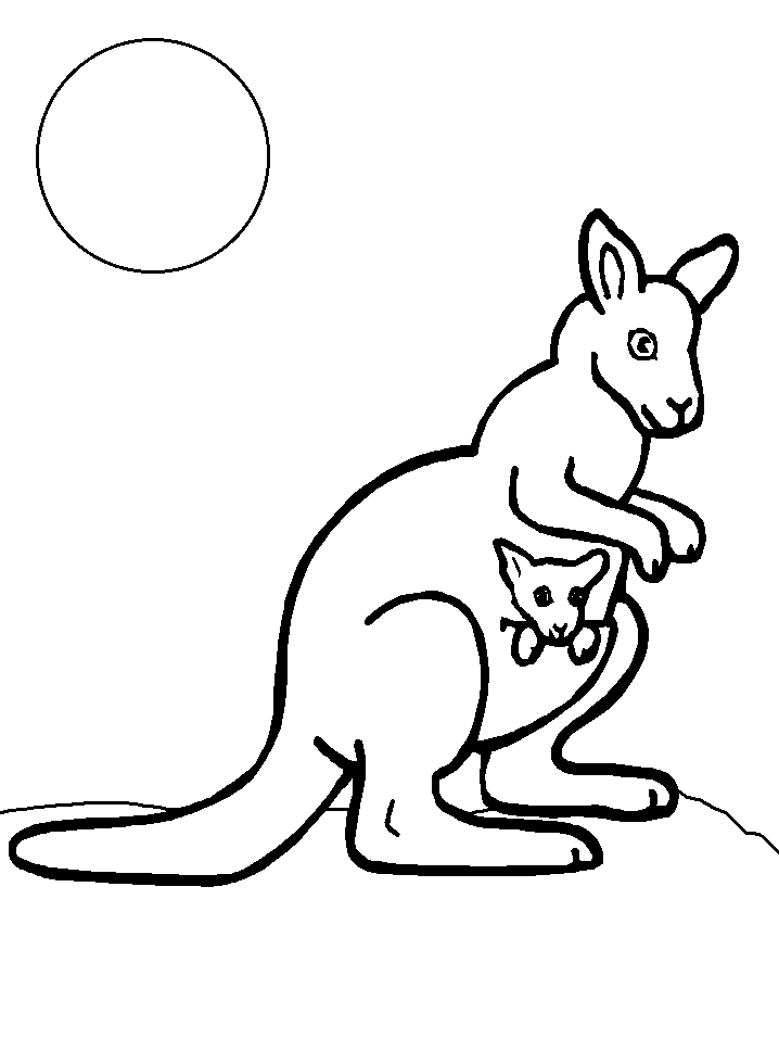 Free printable kangaroo coloring pages for kids