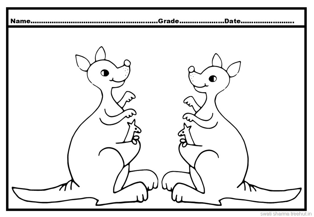 Kangaroo colorg pages