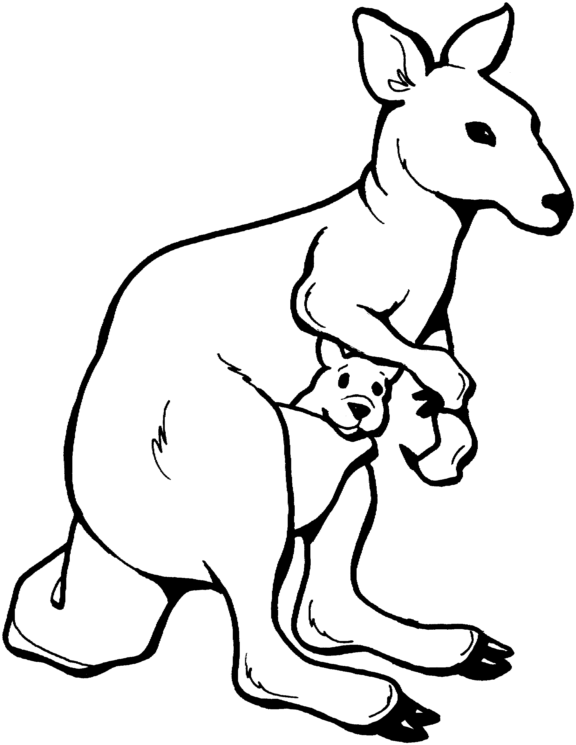 Free kangaroo coloring pages