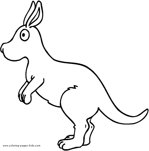 Jumping kangaroo color page