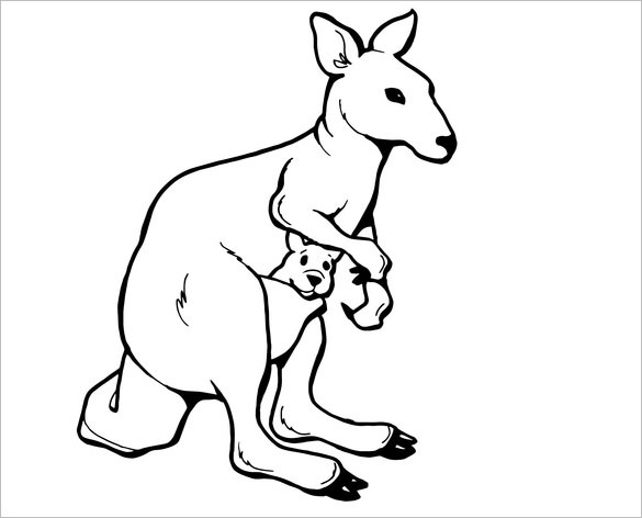 Kangaroo s crafts colouring pages