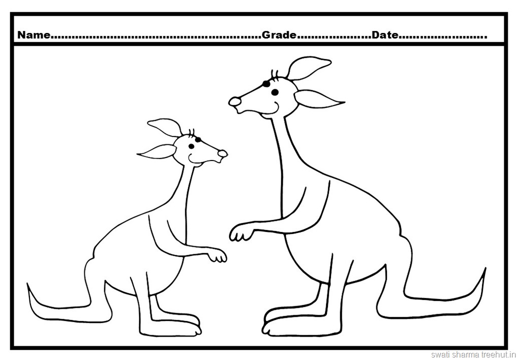 Kangaroo colorg pages