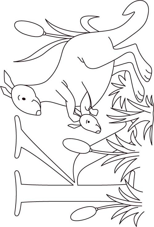 K for kangaroo coloring page for kids download free k for kangaroo coloring page for kids for kids best coloring pages
