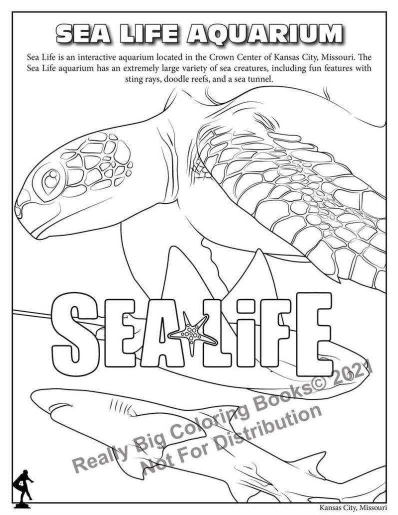 Coloring in kansas city coloring book