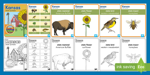 Kansas state symbols coloring pages posters