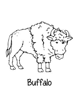 Kansas state coloring pages by loving life in kindergarten tpt