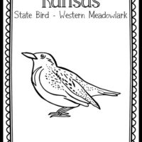 Bird coloring page â the art kit