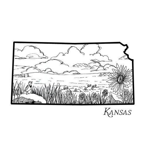 Kansas â corvidae drawings designs