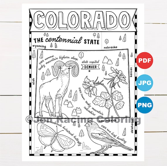 Colorado coloring page united states state map wildlife state symbols flowers coloring pages