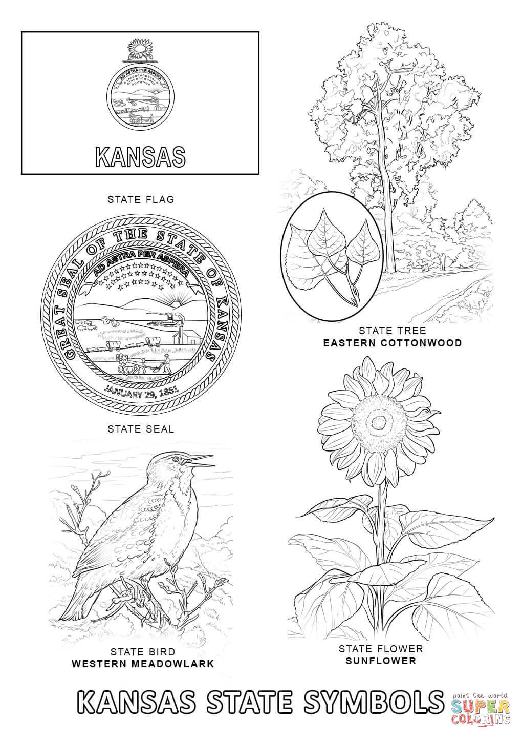 Free kansas flages coloring pages download free kansas flages coloring pages png images free cliparts on clipart library