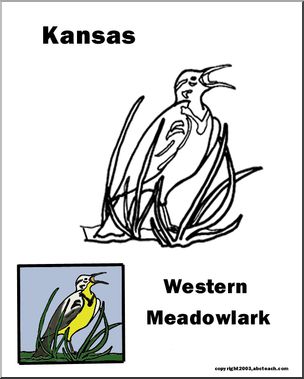 Kansas state bird