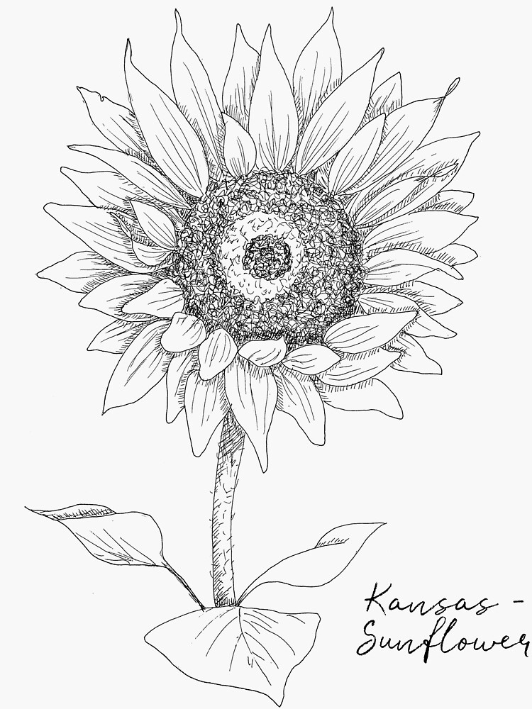 Sunflower kansas state flower by journey home made sticker for sale by journeyhomemade
