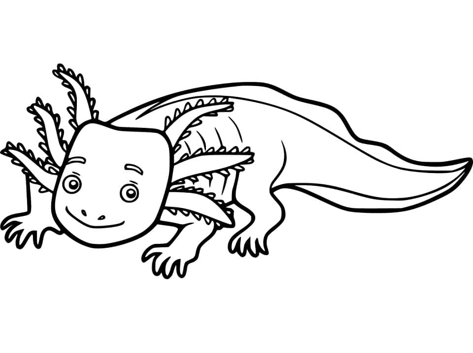 Axolotl free printable coloring page