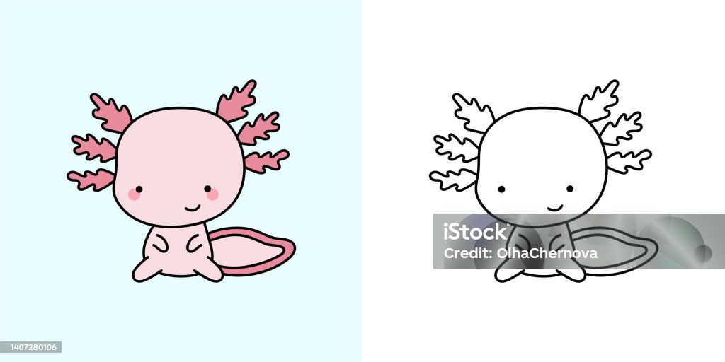 Set clipart axolotl coloring page and colored illustration clip art kawaii axolotl vector illustration of a kawaii animal for coloring pages prints for clothes stickers baby shower stock illustration