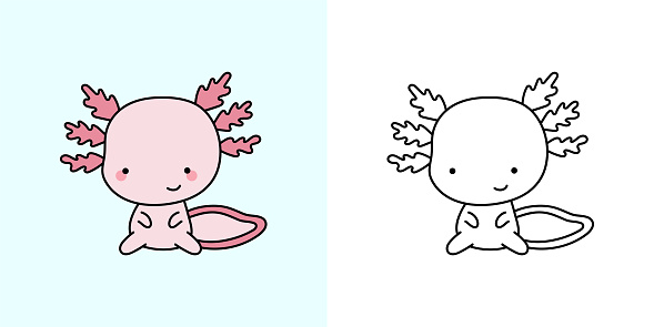 Set clipart axolotl coloring page and colored illustration clip art kawaii axolotl vector illustration of a kawaii animal for coloring pages prints for clothes stickers baby shower stock illustration