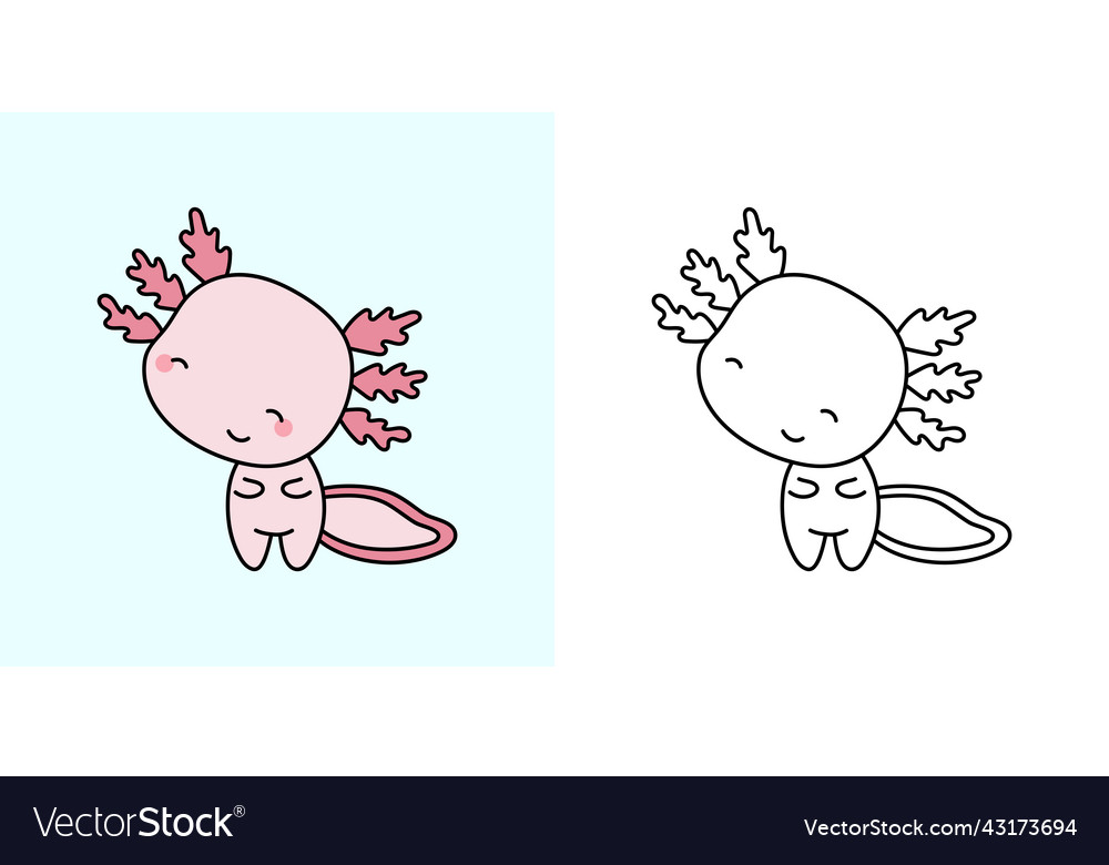 Cute axolotl clipart for coloring page royalty free vector