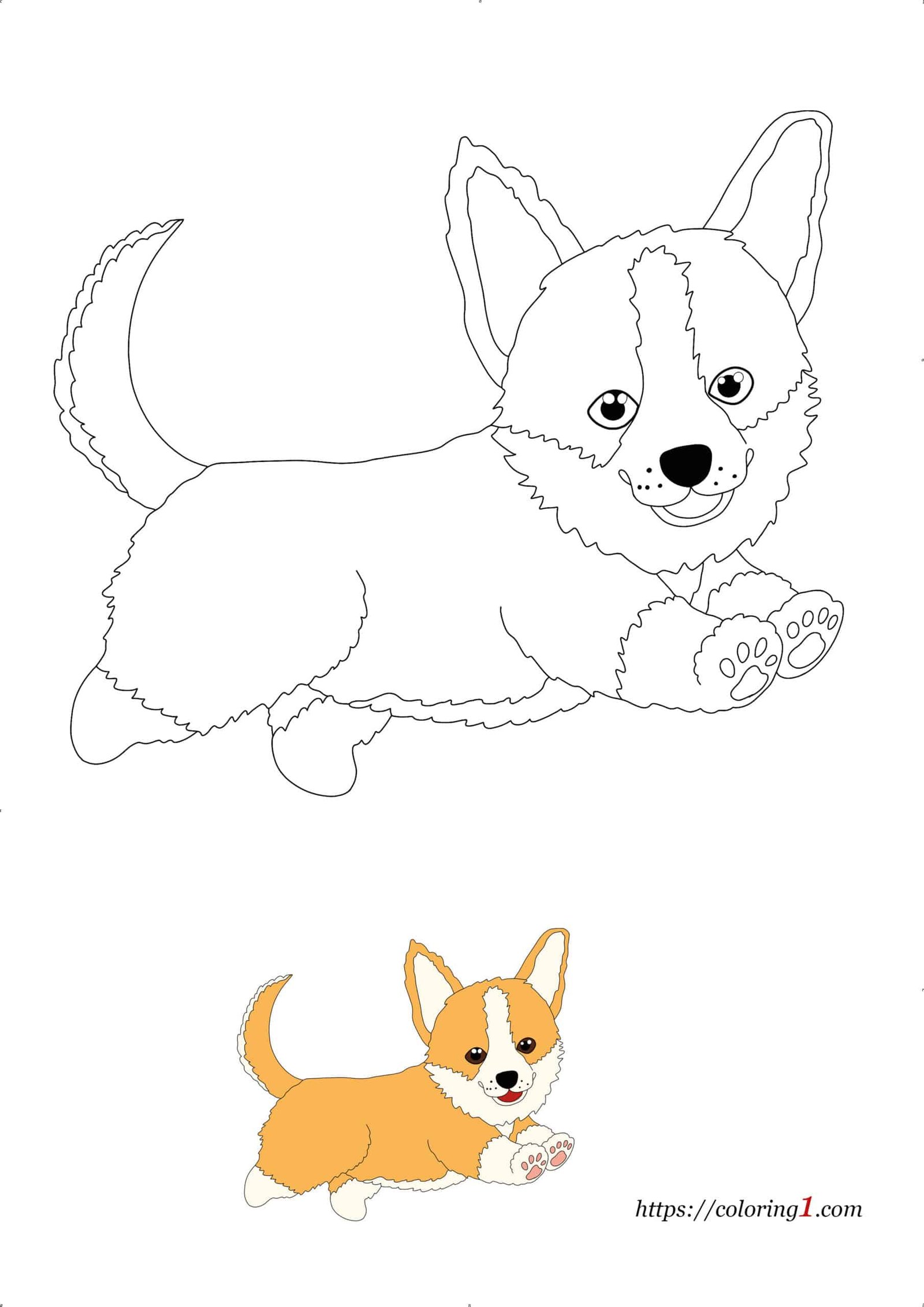 Cute corgi dog coloring pages