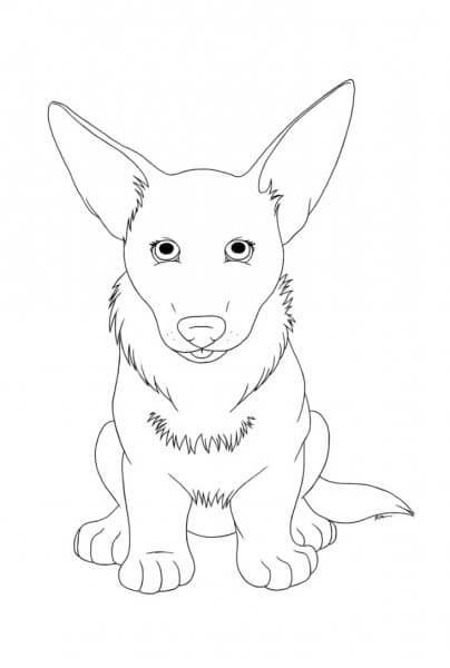 Eared and cute corgi coloring page