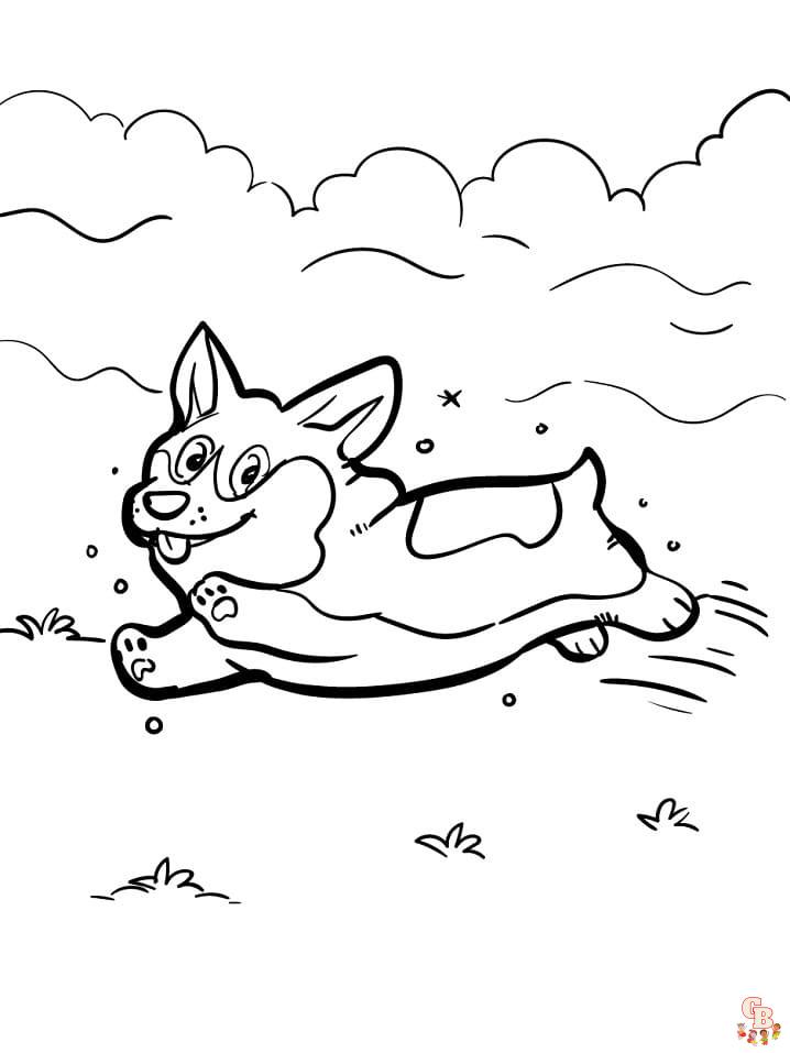 Cute corgi on grass coloring pages fun and free printable sheet