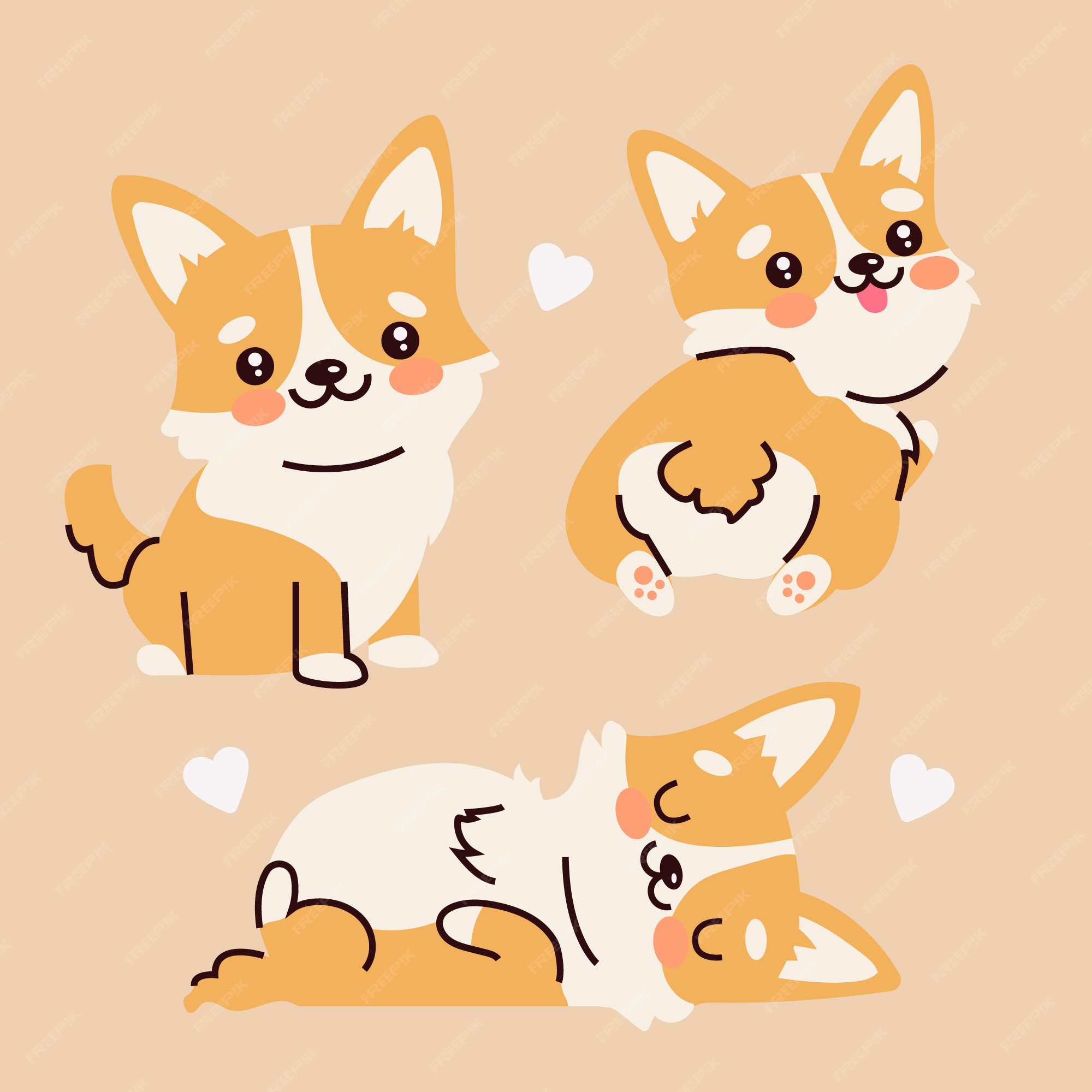 Cute corgi puppy colorg book dog colorg books corgi off
