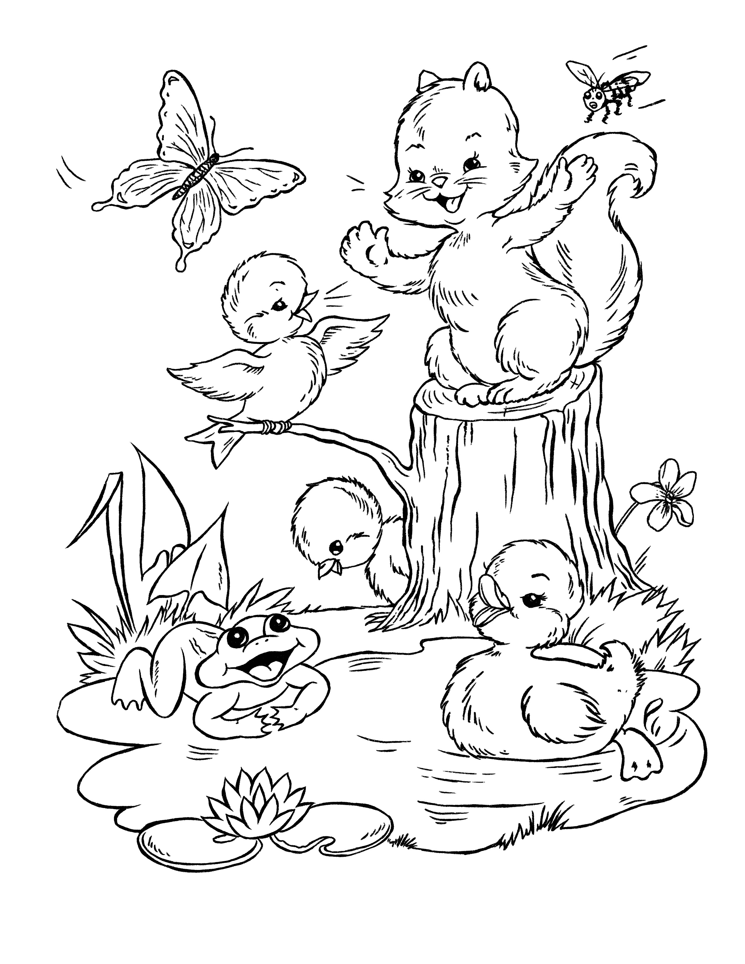 Frog coloring pages