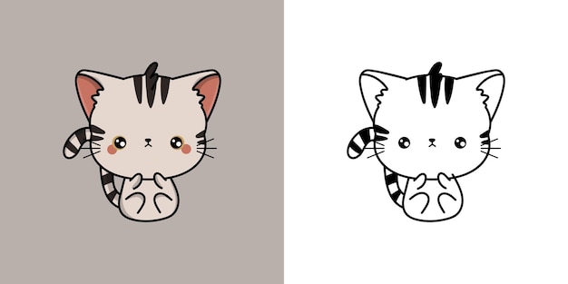 Premium vector set clipart kitten coloring page and colored illustration clip art kawaii american shorthair cat