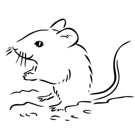 Mice coloring pages free coloring pages