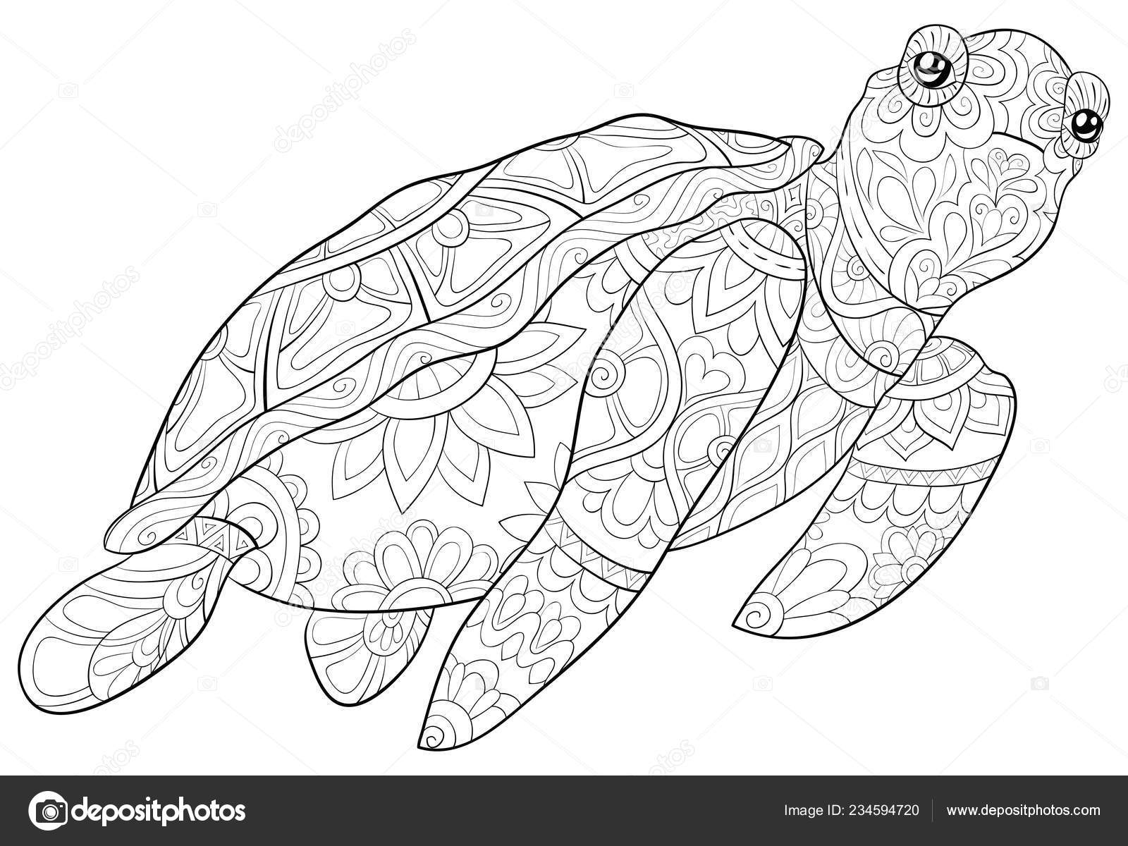 Cute turtle ornaments image relaxing activity coloring book page adults stock vector by nonuzza
