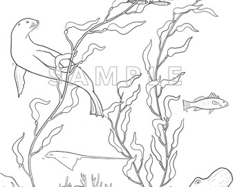 Kelp forest coloring page digital downloadkids and adults print instantly download now