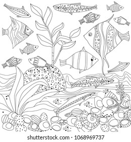 Starfish shell adult coloring images stock photos d objects vectors