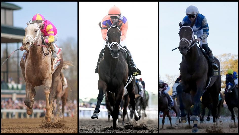 Kentucky derby cheat sheet americas best racing