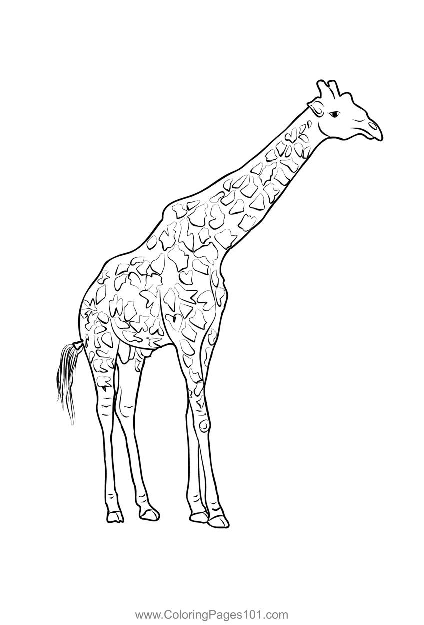 Nairobi national park coloring page for kids