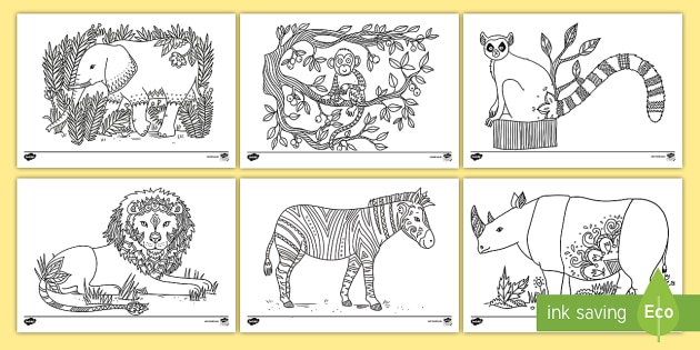 Africa mindfulness colouring pages teacher made