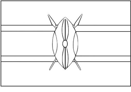 Kenya flag
