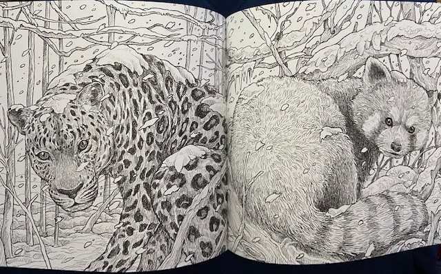 I smell sheep book review fragile world adult coloring book by kerby rosanes giveaway