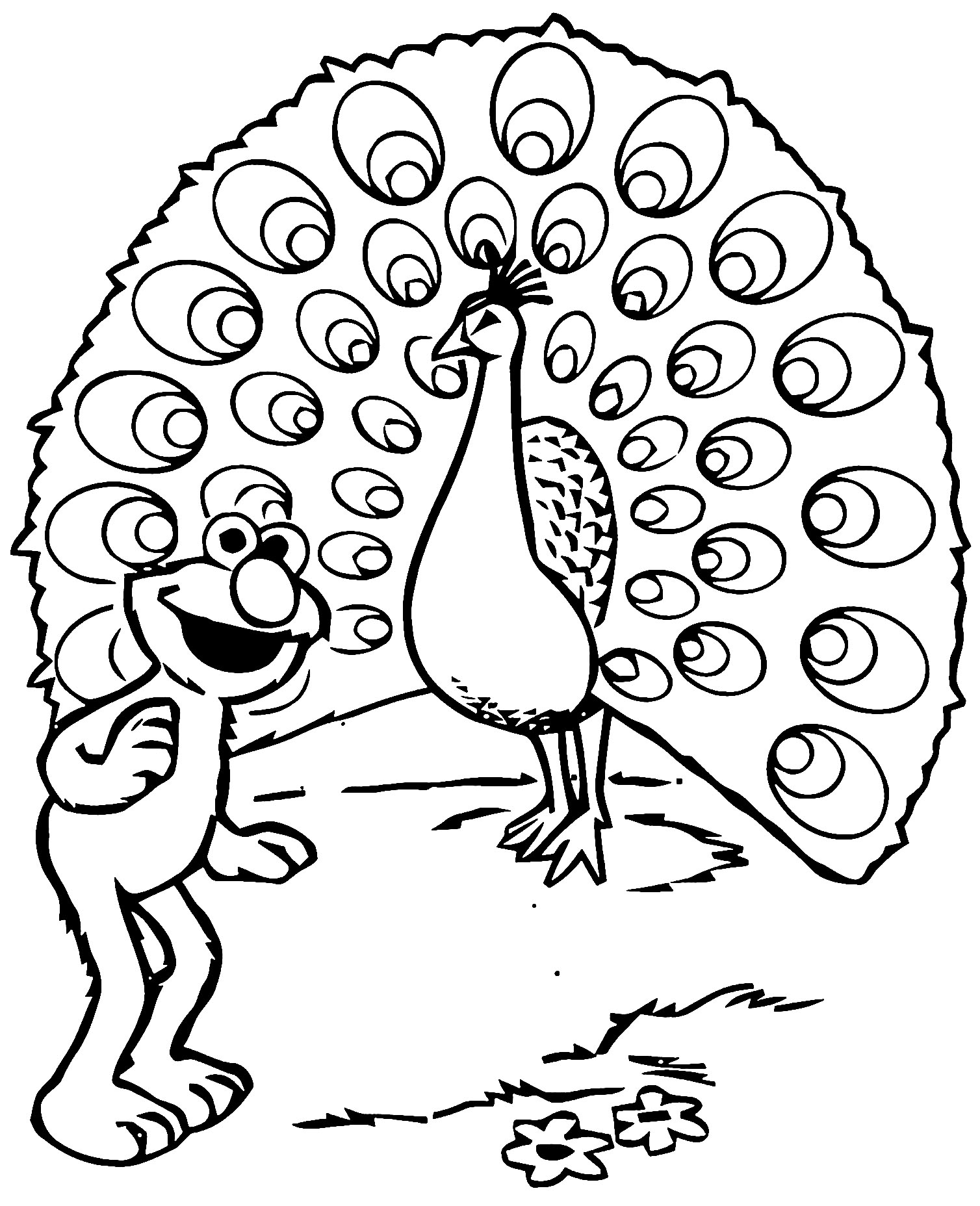 Drawing the muppets peacock and kermit free drawing to color