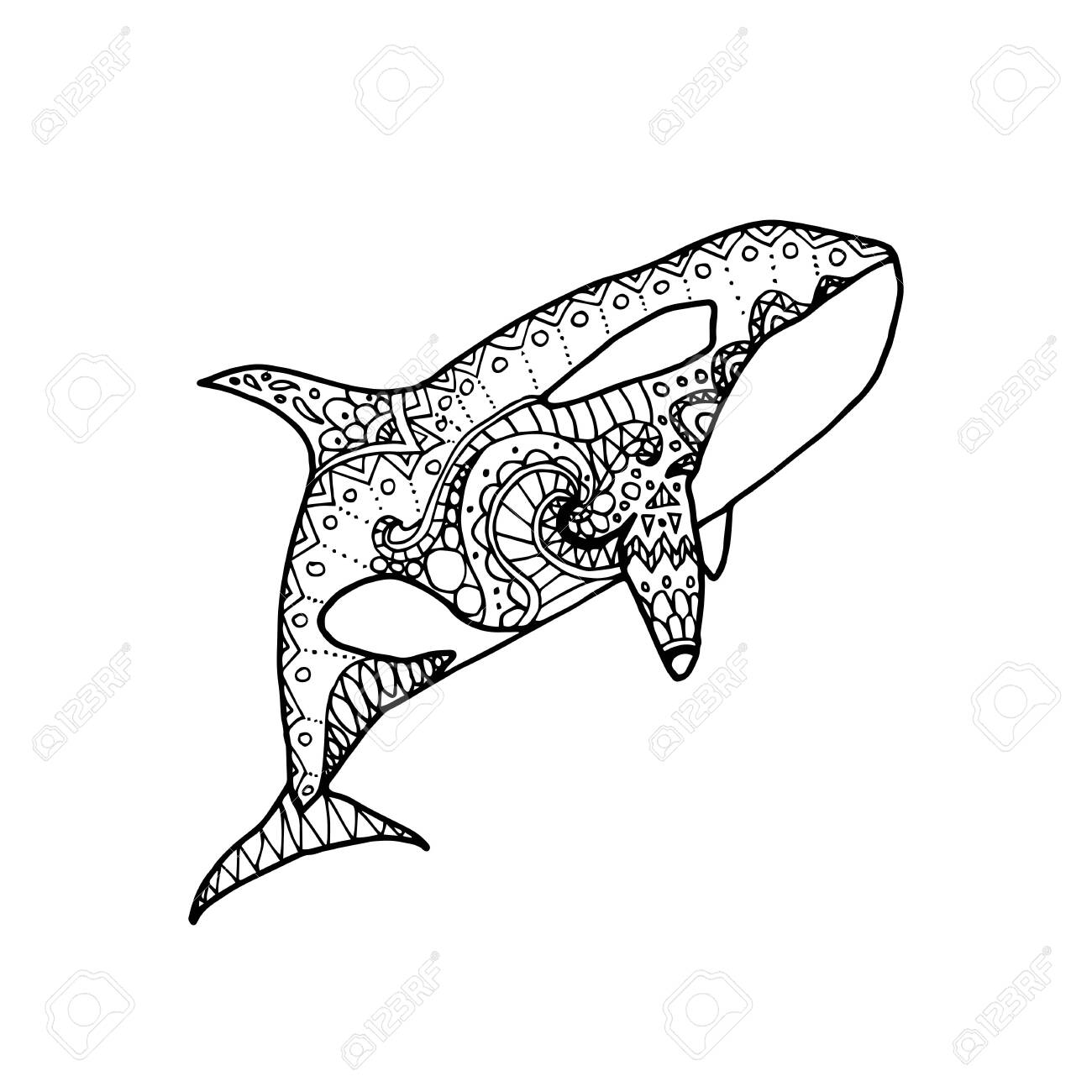Vector illustration of hand drawn patterned killer whale doodle orca coloring page book royalty free svg cliparts vectors and stock illustration image