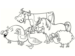 Farm
