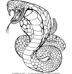 King cobra coloring pages ideas king cobra coloring pages cobra