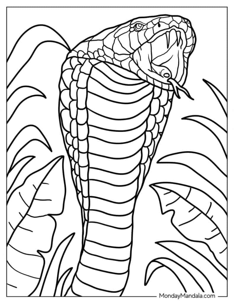 Snake coloring pages free pdf printables