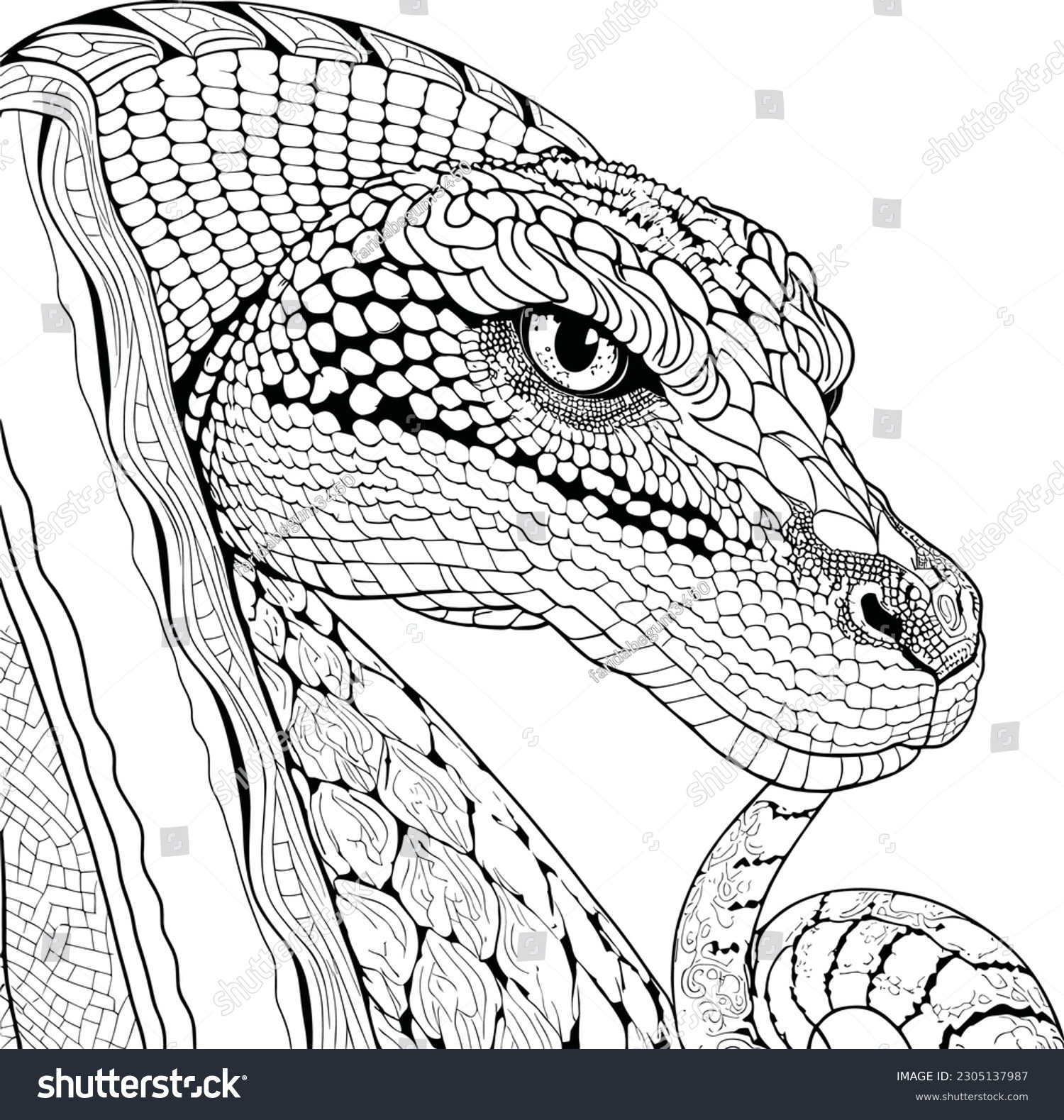 King cobra coloring page adults stock vector royalty free
