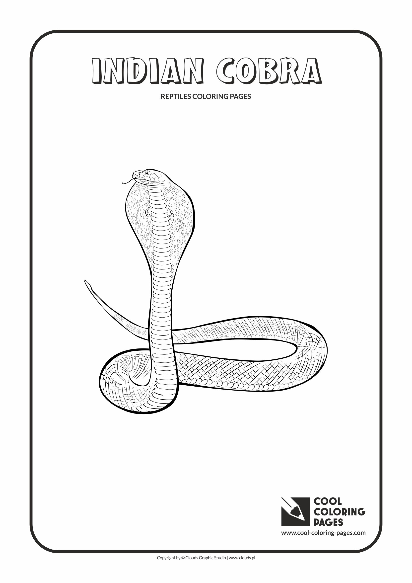 Cool coloring pages amphibians and reptiles coloring pages