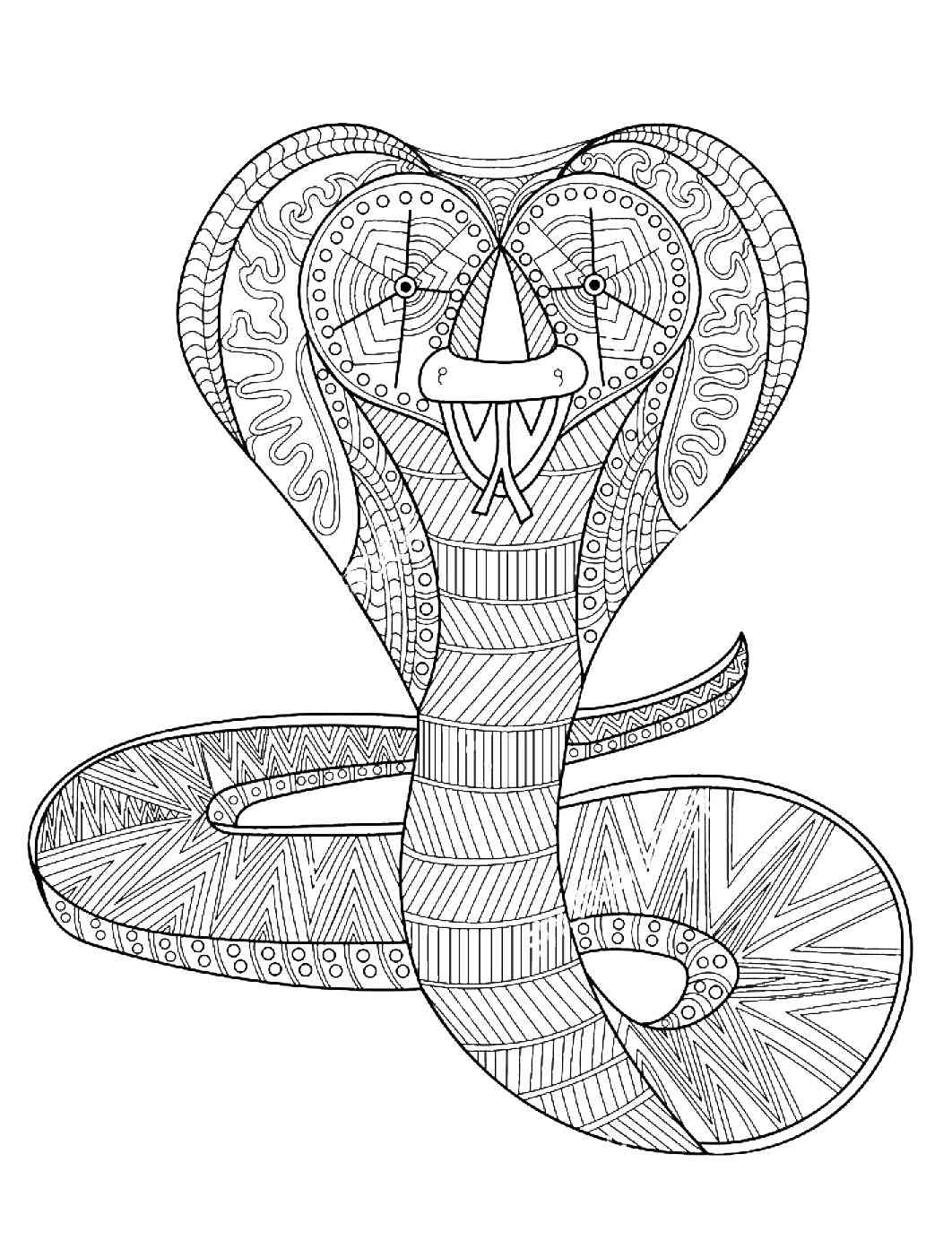 Cobra coloring pages for adults