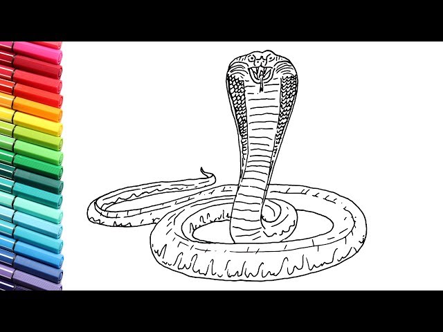 How to draw king cobra snake