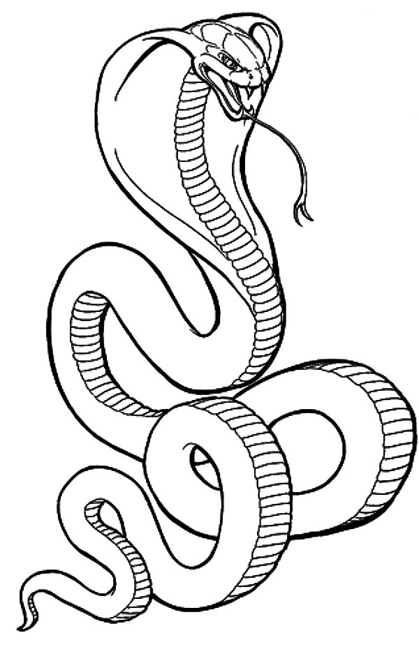Dangerous snake king cobra coloring pages â