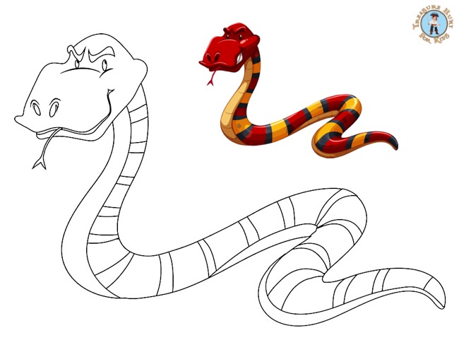 Snake coloring page